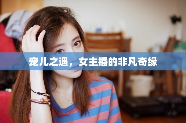 寵兒之遇，女主播的非凡奇緣