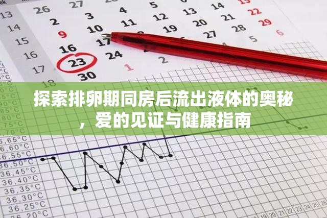 探索排卵期同房后流出液體的奧秘，愛的見證與健康指南