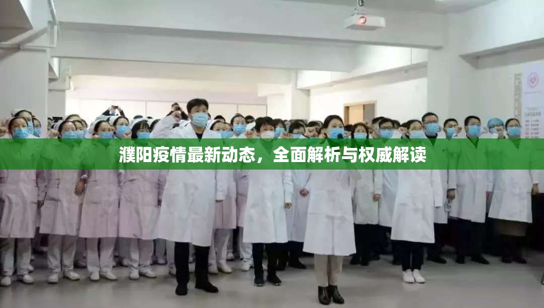 濮陽(yáng)疫情最新動(dòng)態(tài)，全面解析與權(quán)威解讀