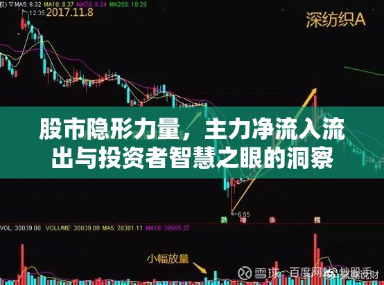 股市隱形力量，主力凈流入流出與投資者智慧之眼的洞察