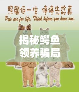 揭秘鱷魚領(lǐng)養(yǎng)騙局，網(wǎng)絡(luò)愛心陷阱需警惕