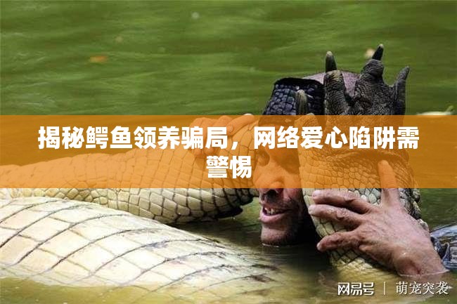 揭秘鱷魚領(lǐng)養(yǎng)騙局，網(wǎng)絡(luò)愛心陷阱需警惕