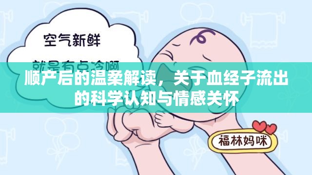 順產(chǎn)后的溫柔解讀，關(guān)于血經(jīng)子流出的科學(xué)認(rèn)知與情感關(guān)懷