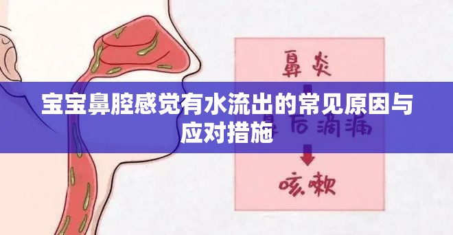寶寶鼻腔感覺有水流出的常見原因與應(yīng)對措施