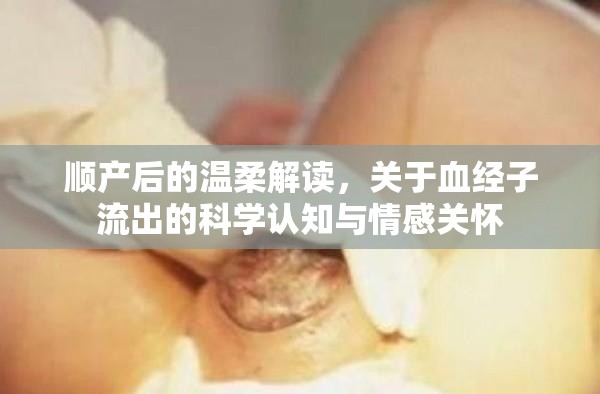 順產(chǎn)后的溫柔解讀，關(guān)于血經(jīng)子流出的科學(xué)認(rèn)知與情感關(guān)懷