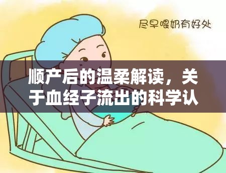 順產(chǎn)后的溫柔解讀，關(guān)于血經(jīng)子流出的科學(xué)認(rèn)知與情感關(guān)懷