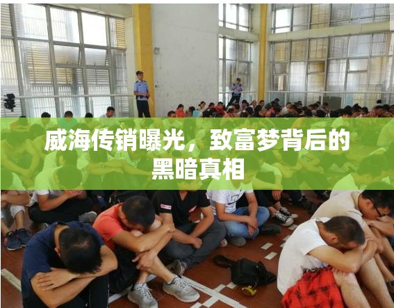 威海傳銷曝光，致富夢背后的黑暗真相