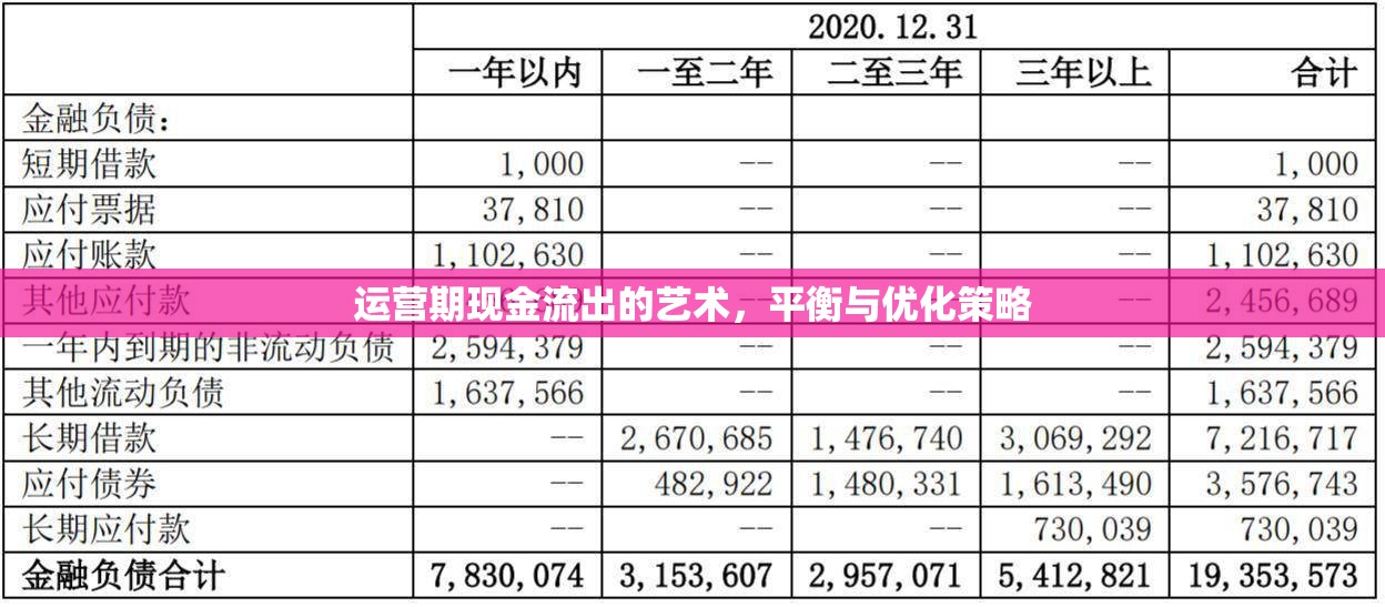運(yùn)營(yíng)期現(xiàn)金流出的藝術(shù)，平衡與優(yōu)化策略