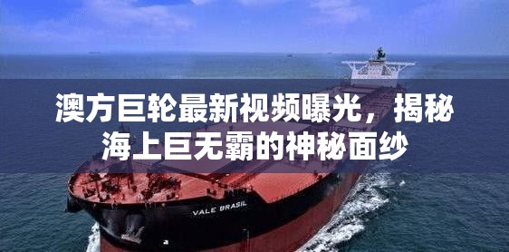 澳方巨輪最新視頻曝光，揭秘海上巨無霸的神秘面紗
