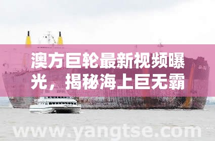 澳方巨輪最新視頻曝光，揭秘海上巨無霸的神秘面紗