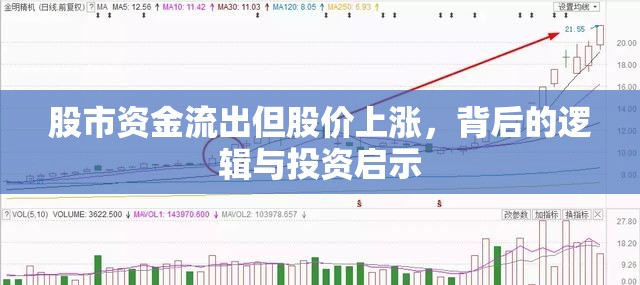 股市資金流出但股價上漲，背后的邏輯與投資啟示
