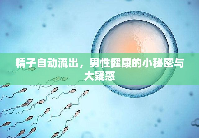 精子自動流出，男性健康的小秘密與大疑惑