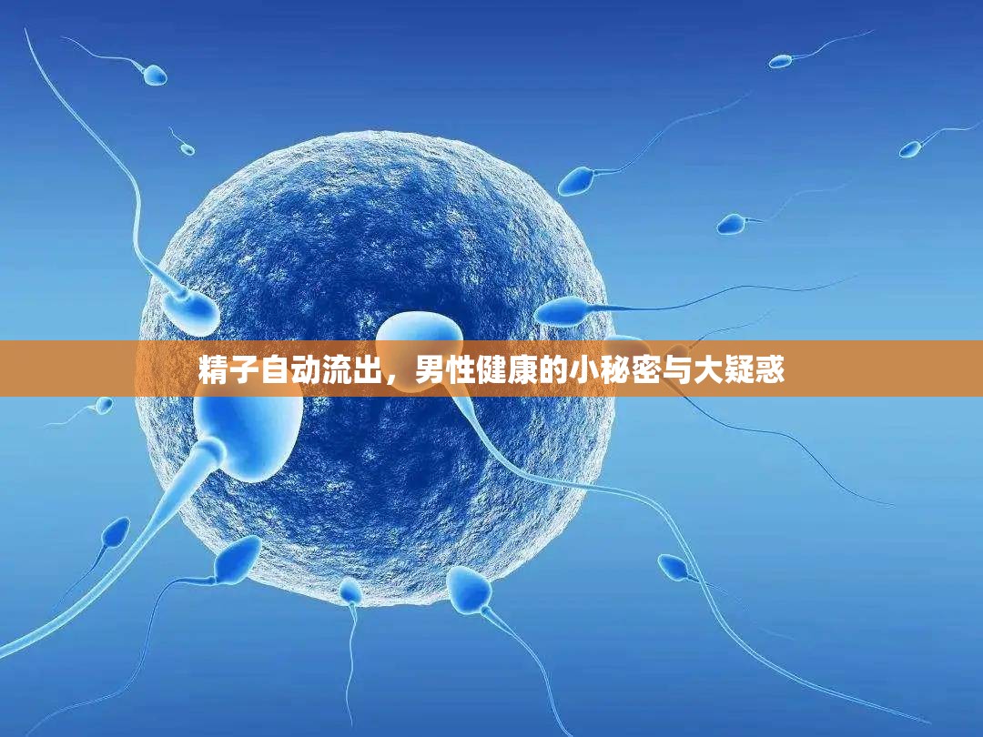 精子自動流出，男性健康的小秘密與大疑惑