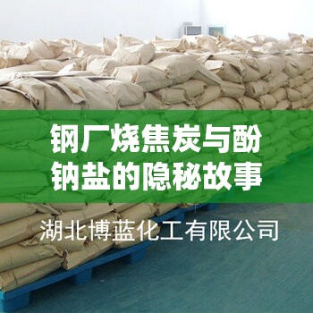 鋼廠燒焦炭與酚鈉鹽的隱秘故事，環(huán)境與工業(yè)的微妙平衡