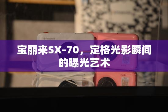 寶麗來SX-70，定格光影瞬間的曝光藝術(shù)
