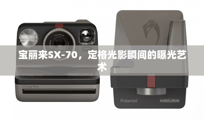 寶麗來SX-70，定格光影瞬間的曝光藝術(shù)