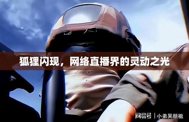 狐貍閃現，網絡直播界的靈動之光