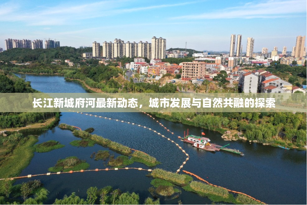 長江新城府河最新動態(tài)，城市發(fā)展與自然共融的探索