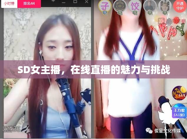 SD女主播，在線直播的魅力與挑戰(zhàn)