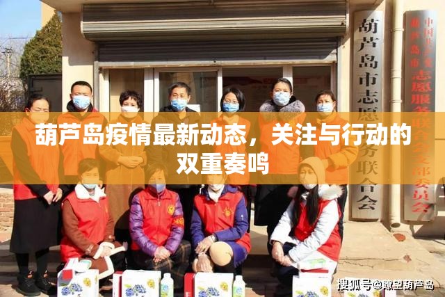 葫蘆島疫情最新動(dòng)態(tài)，關(guān)注與行動(dòng)的雙重奏鳴