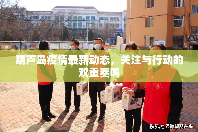 葫蘆島疫情最新動(dòng)態(tài)，關(guān)注與行動(dòng)的雙重奏鳴