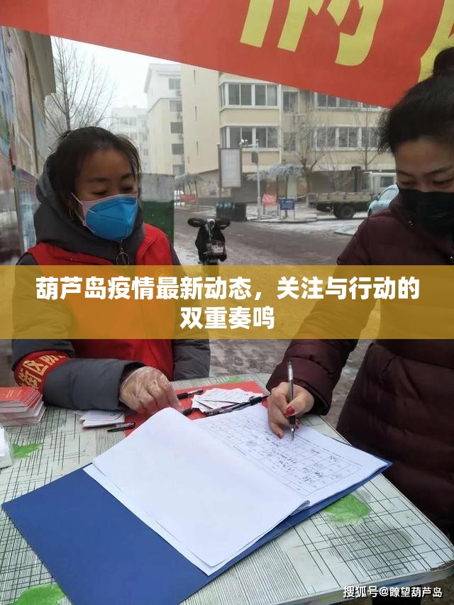 葫蘆島疫情最新動(dòng)態(tài)，關(guān)注與行動(dòng)的雙重奏鳴