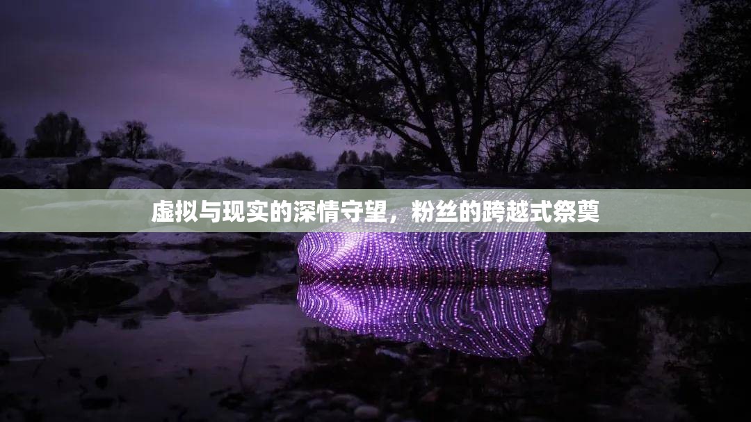 虛擬與現(xiàn)實(shí)的深情守望，粉絲的跨越式祭奠