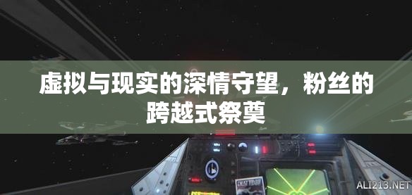 虛擬與現(xiàn)實(shí)的深情守望，粉絲的跨越式祭奠