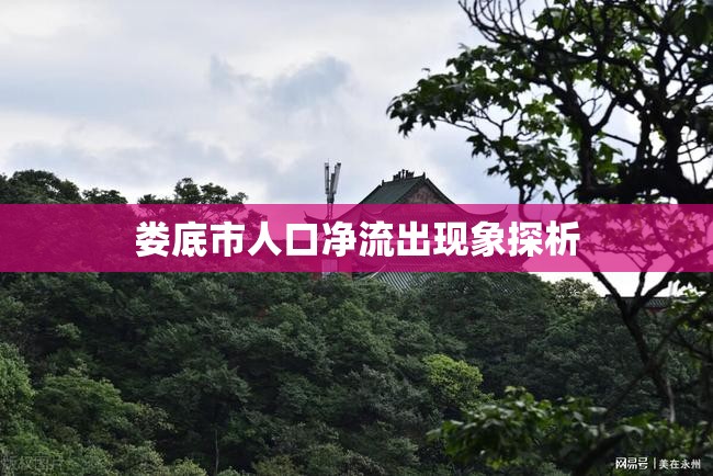婁底市人口凈流出現(xiàn)象探析