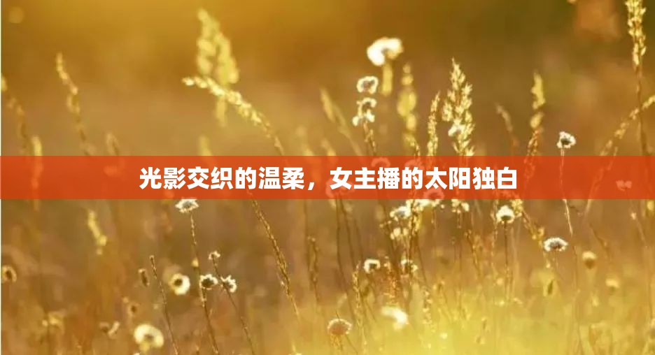 光影交織的溫柔，女主播的太陽獨白
