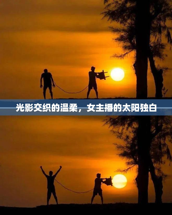 光影交織的溫柔，女主播的太陽獨白