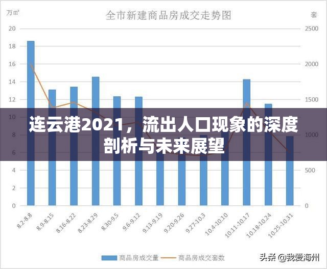 連云港2021，流出人口現(xiàn)象的深度剖析與未來展望
