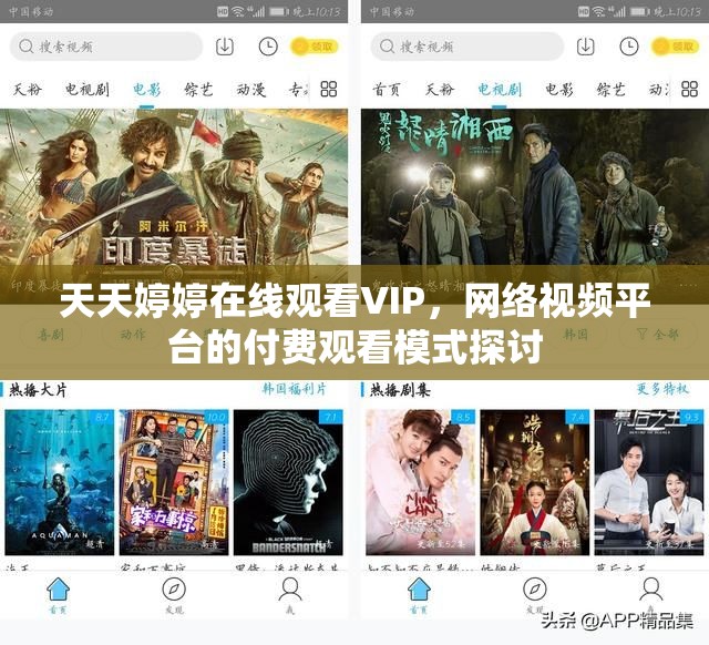 天天婷婷在線觀看VIP，網(wǎng)絡(luò)視頻平臺的付費觀看模式探討