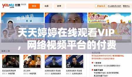 天天婷婷在線觀看VIP，網(wǎng)絡(luò)視頻平臺的付費觀看模式探討