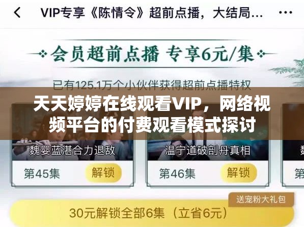 天天婷婷在線觀看VIP，網(wǎng)絡(luò)視頻平臺的付費觀看模式探討