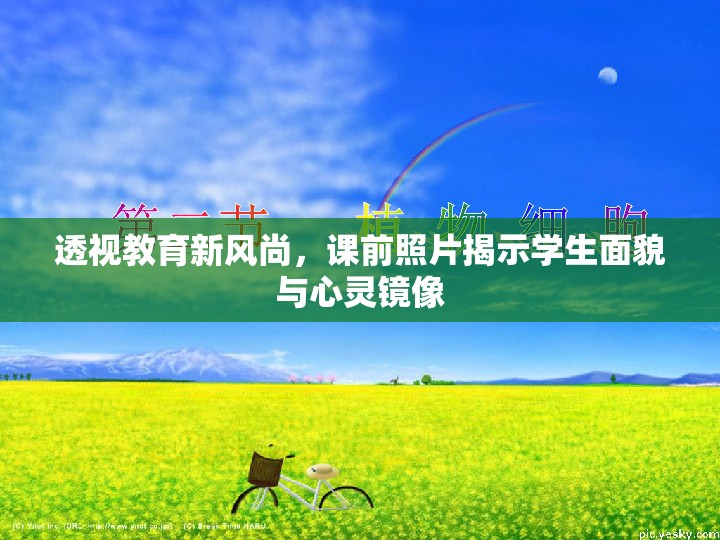 透視教育新風尚，課前照片揭示學生面貌與心靈鏡像