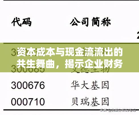 資本成本與現(xiàn)金流流出的共生舞曲，揭示企業(yè)財務(wù)健康的秘密