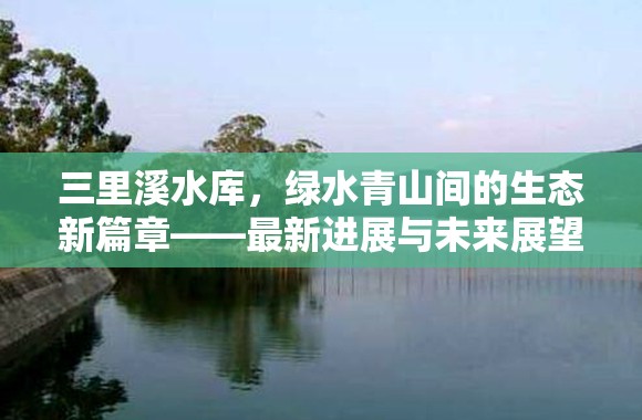 三里溪水庫，綠水青山間的生態(tài)新篇章——最新進(jìn)展與未來展望