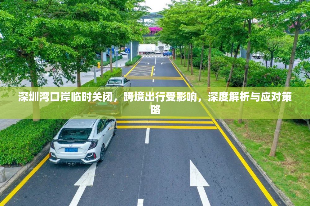 深圳灣口岸臨時關(guān)閉，跨境出行受影響，深度解析與應(yīng)對策略