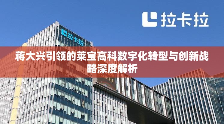 蔣大興引領(lǐng)的萊寶高科數(shù)字化轉(zhuǎn)型與創(chuàng)新戰(zhàn)略深度解析