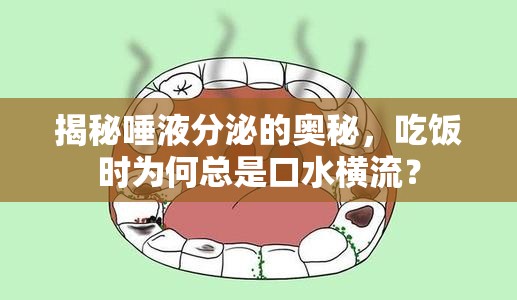 揭秘唾液分泌的奧秘，吃飯時(shí)為何總是口水橫流？