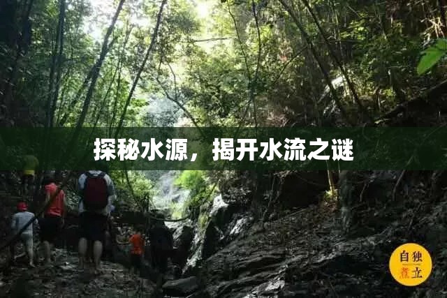 探秘水源，揭開水流之謎
