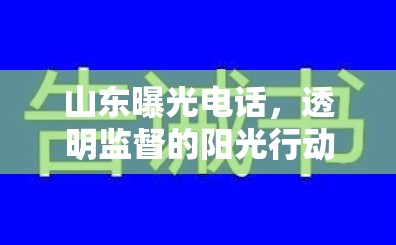 山東曝光電話，透明監(jiān)督的陽光行動(dòng)