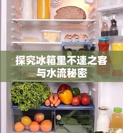 探究冰箱里不速之客與水流秘密