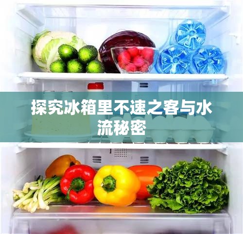 探究冰箱里不速之客與水流秘密