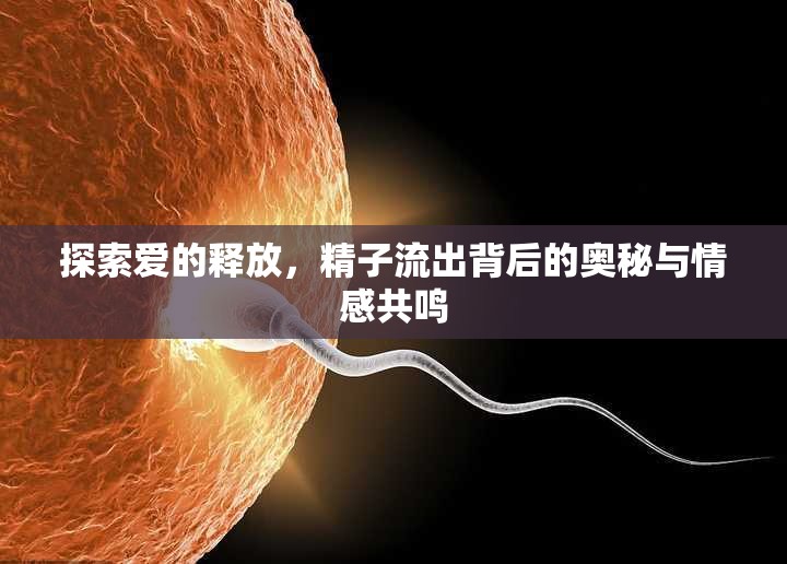 探索愛的釋放，精子流出背后的奧秘與情感共鳴