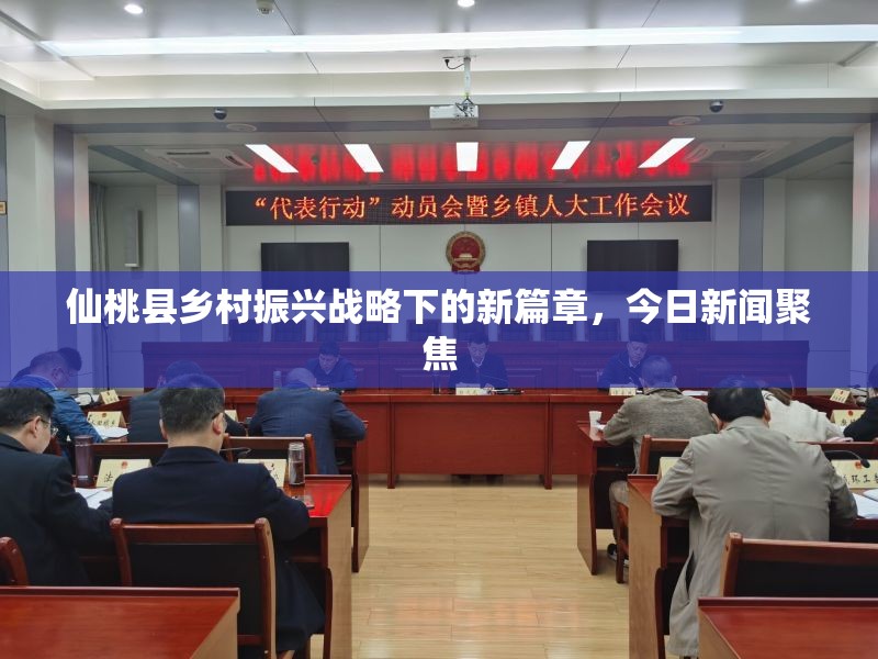 仙桃縣鄉(xiāng)村振興戰(zhàn)略下的新篇章，今日新聞聚焦