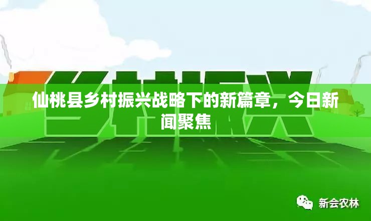 仙桃縣鄉(xiāng)村振興戰(zhàn)略下的新篇章，今日新聞聚焦