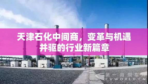 天津石化中間商，變革與機遇并驅的行業(yè)新篇章