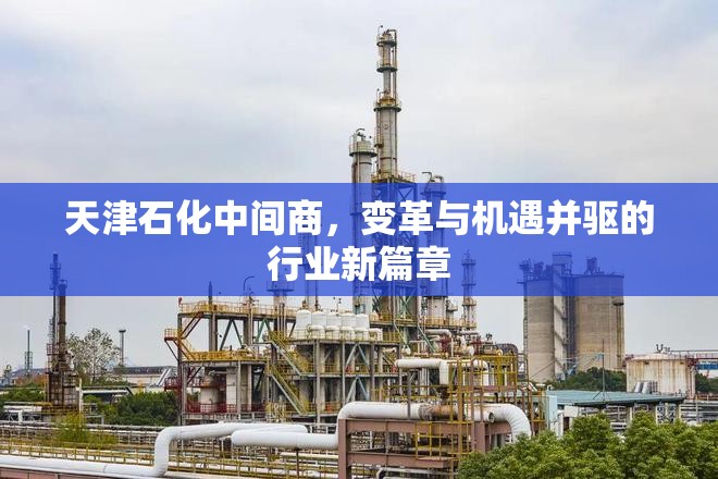 天津石化中間商，變革與機遇并驅的行業(yè)新篇章